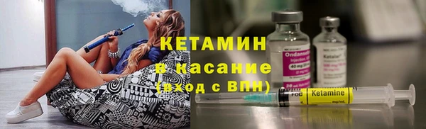 индика Алзамай