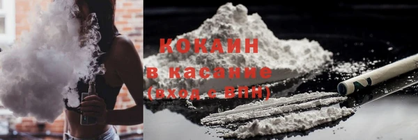 индика Алзамай