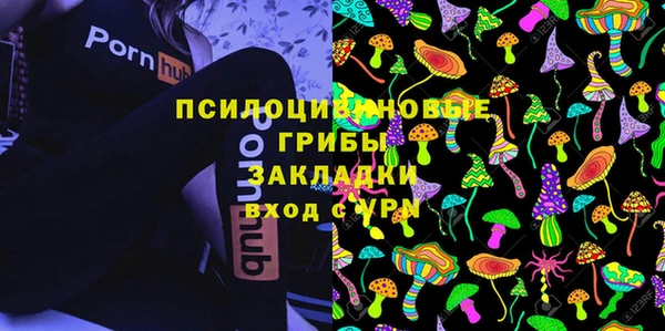 кокс Абаза