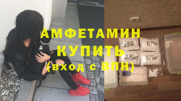 ПСИЛОЦИБИНОВЫЕ ГРИБЫ Алексин