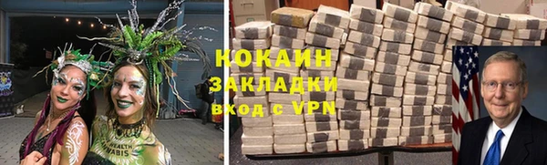 индика Алзамай