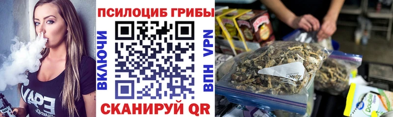 где купить Бирюсинск Псилоцибиновые грибы мицелий